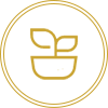 創新致用